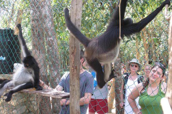 Cenote Yax Kin Camping
